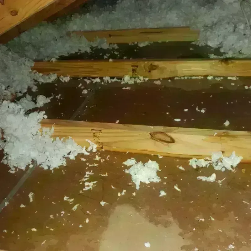 Attic Water Damage in Odenville, AL