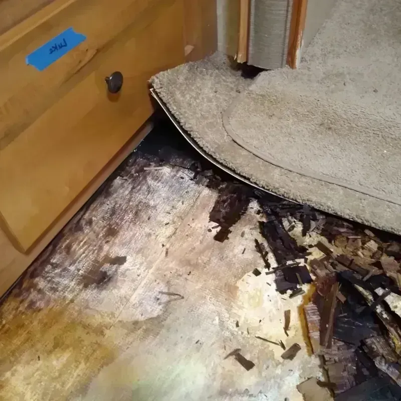 Best Wood Floor Water Damage Service in Odenville, AL